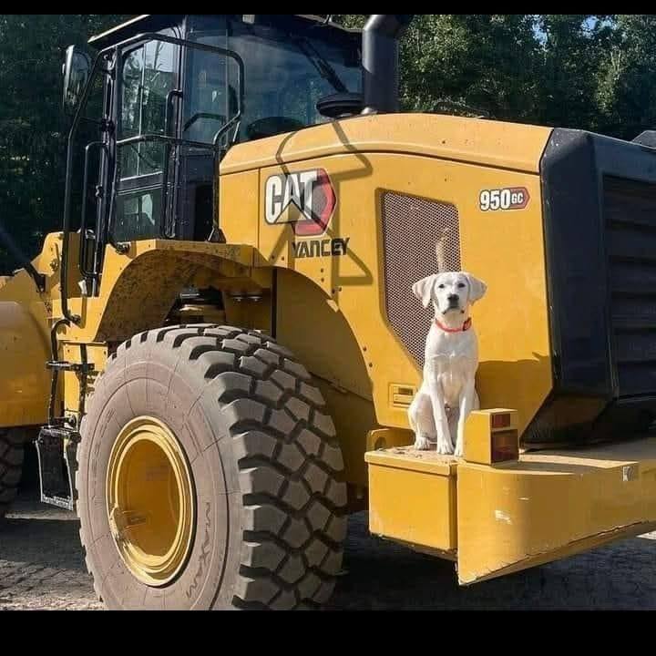 Transportes Logsa added a new photo. - Transportes Logsa