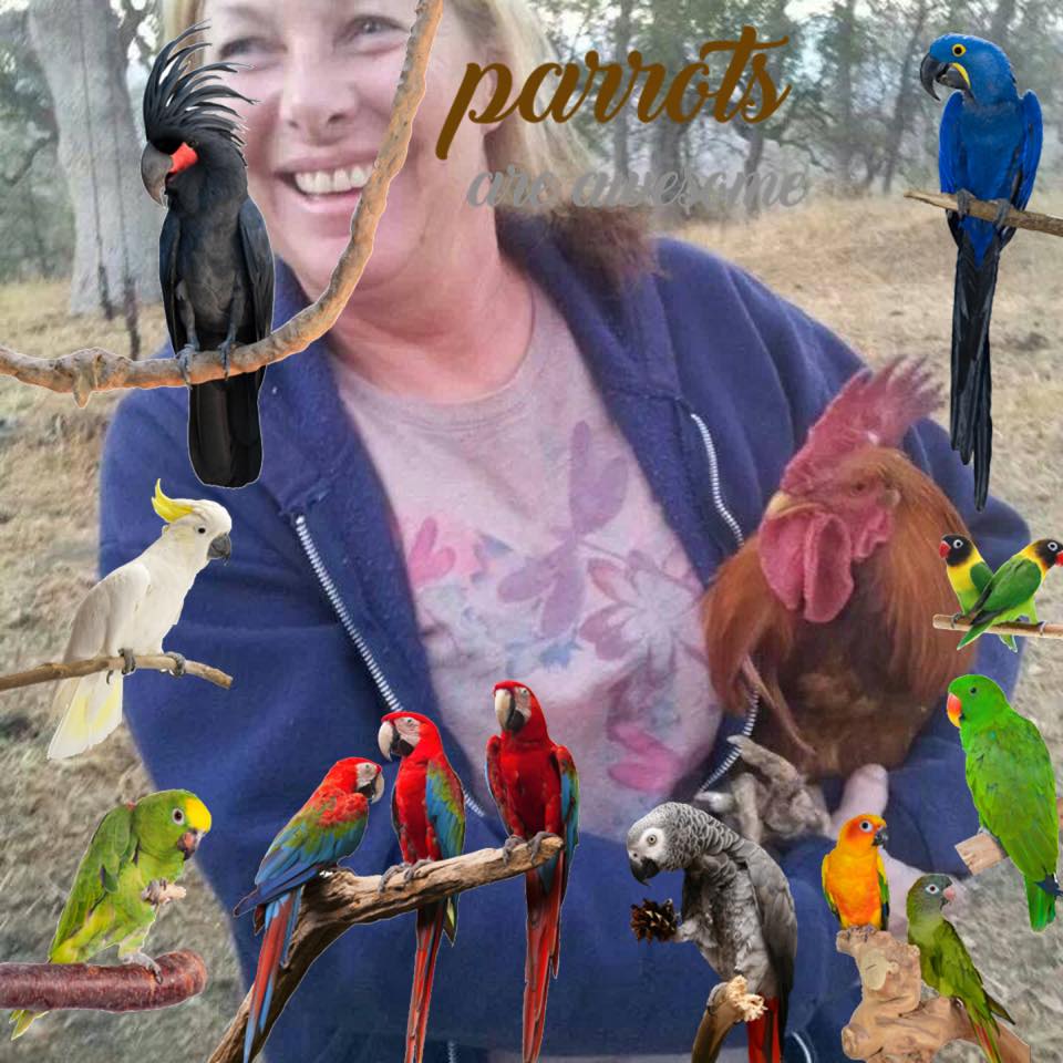 Debbie Mathis