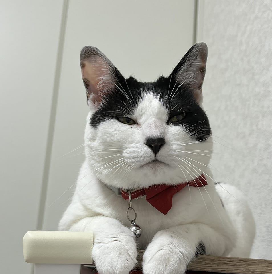 食を通して【茨城を元気にする会】 | 川尻町にある、コン・パンナさん跡地に今度「森の中のピエロ」さんが、レストランでOPENしました ...