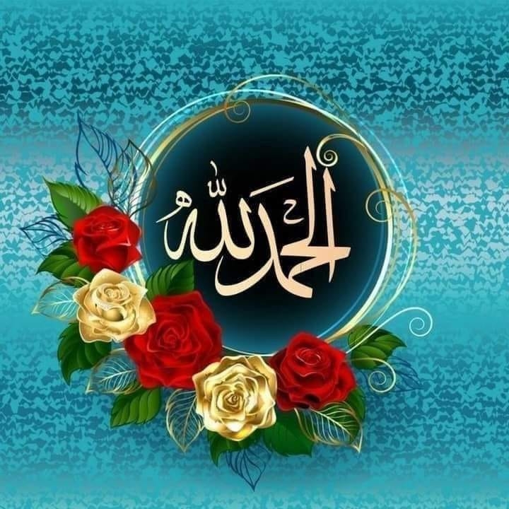 أجمل ما قرأت في اللغة و الأدب 2 - #الحمام في ديوان العرب حظي الحمام ...