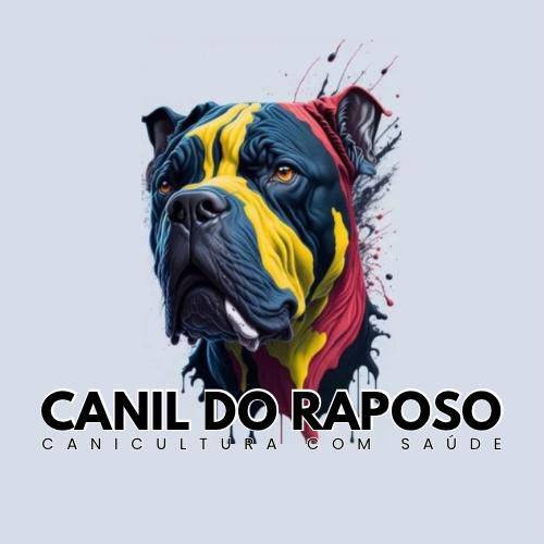 Comenta 3107 pra receber um passo a passo. Segue Diego Mensor aqui é ...