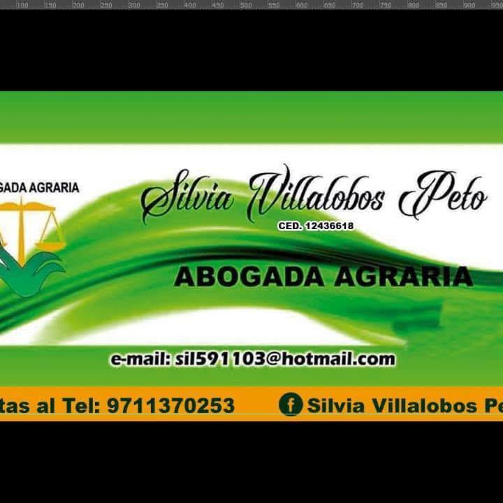 De modelo, ahora Abogada - Silvia Villalobos Peto | Facebook