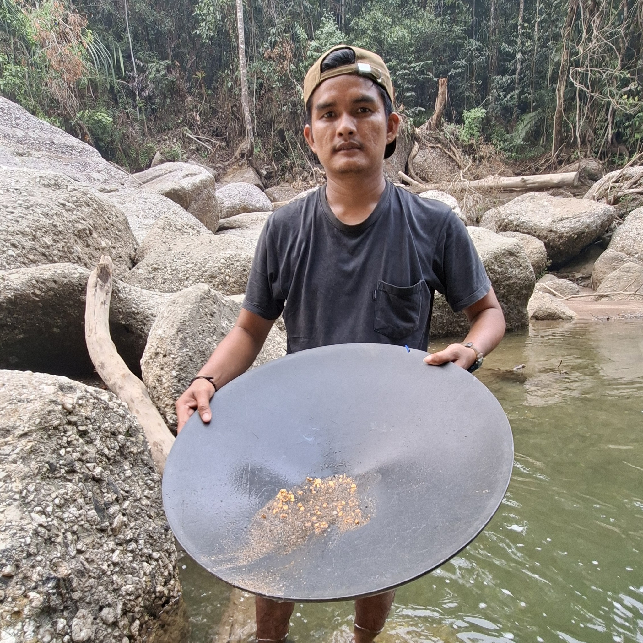 Here is the final result: searching for gold beneath the roots of a ...