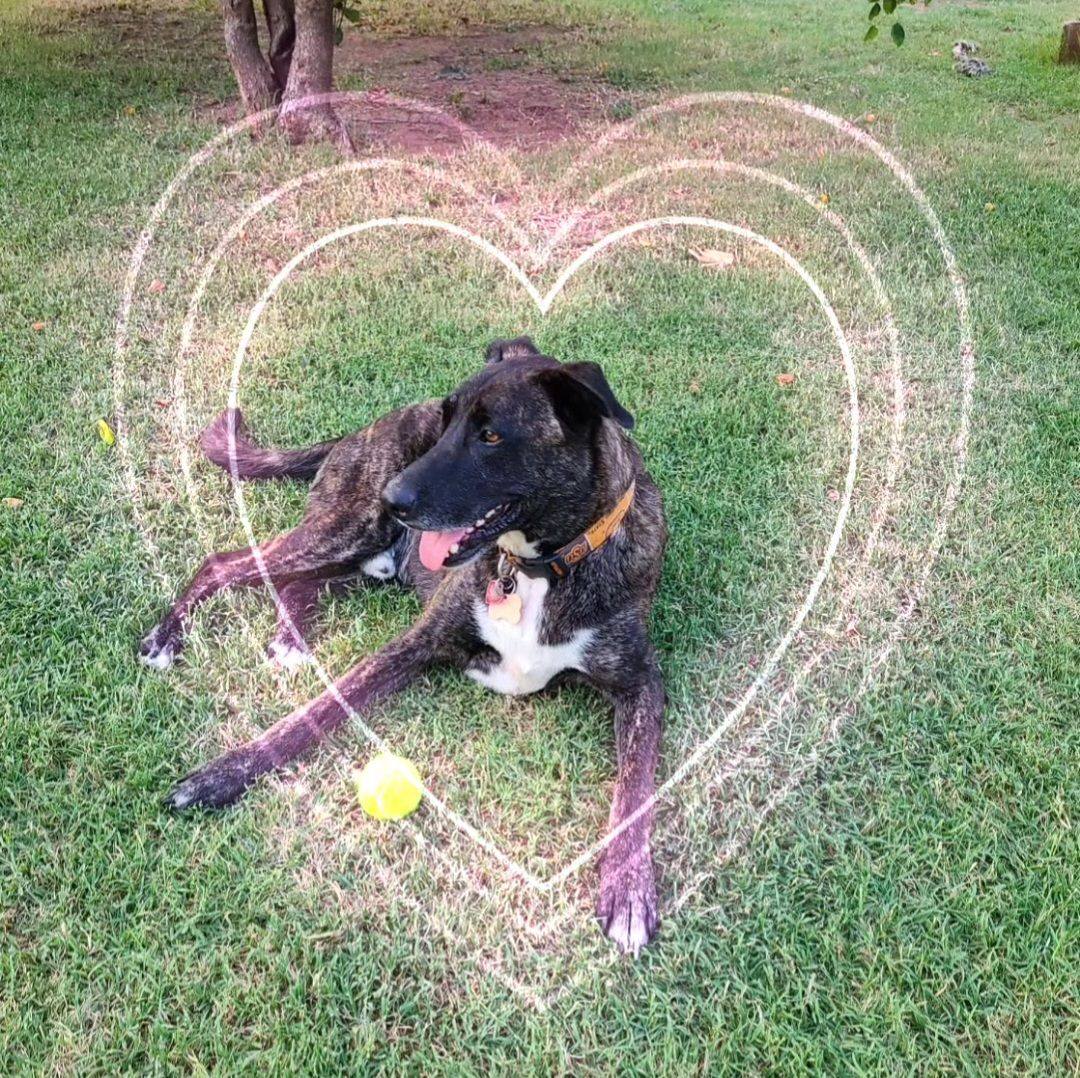 We had so much fun... - JamieandSharon Shipley Shepard | Facebook