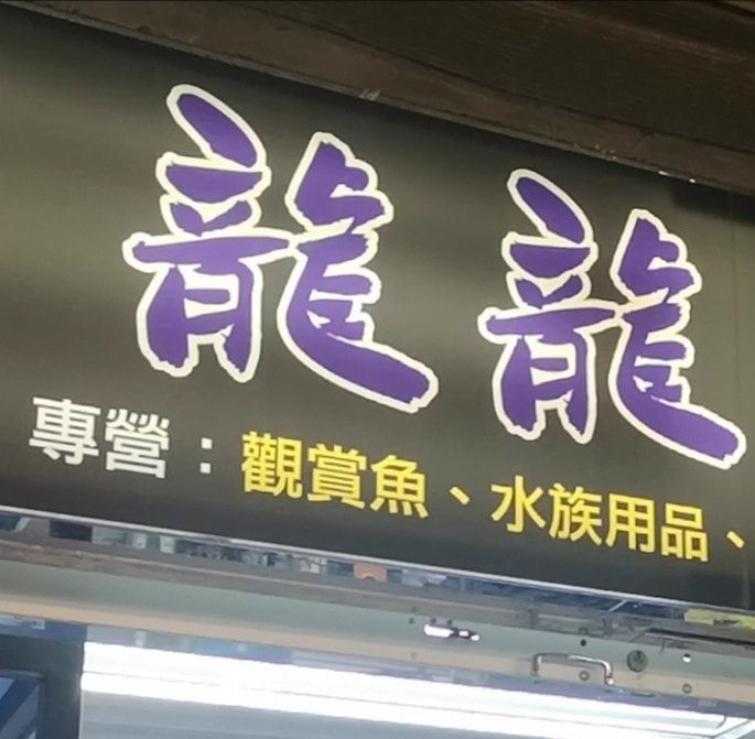 培煌 洪