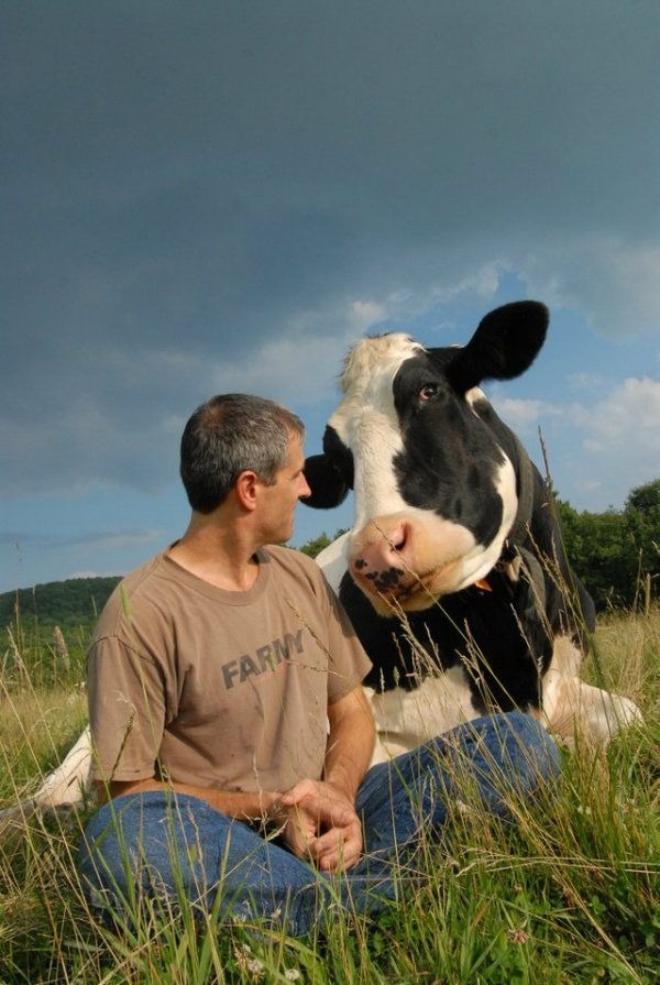 A beautiful, mighty home for livestock ️ | Facebook