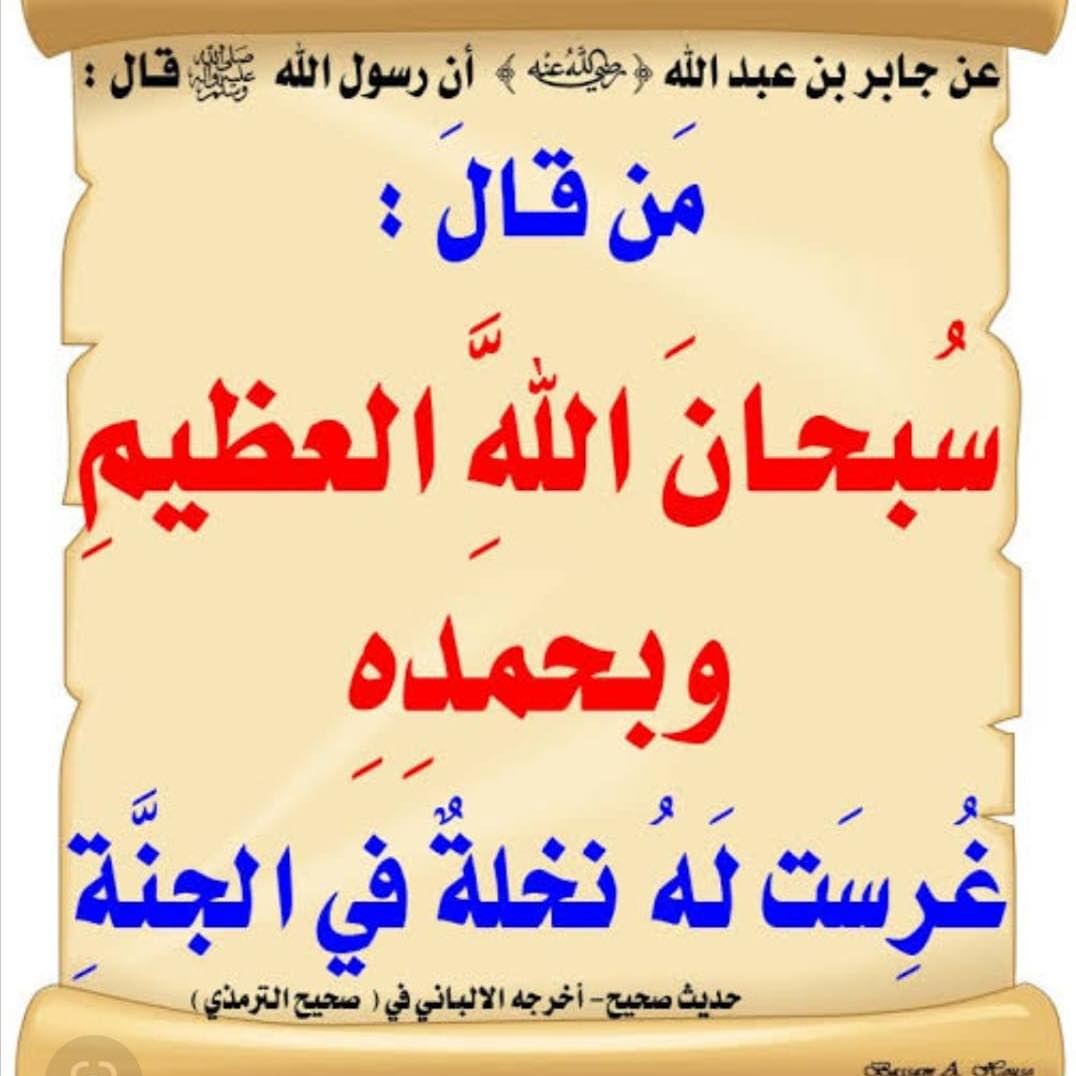 Rohullah Hanafy