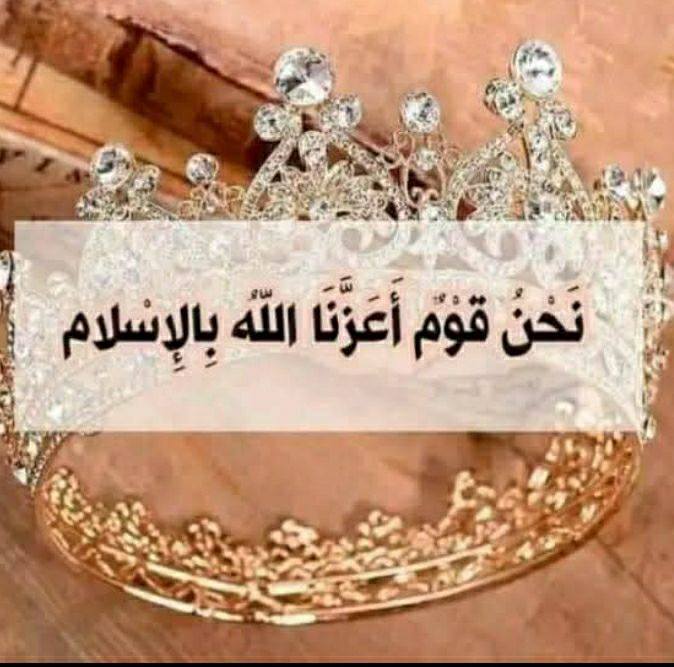 جوا - في صحراء أريزونا الشاسعة، يعيش مخلوق فريد من نوعه، يملك من الذكاء ...