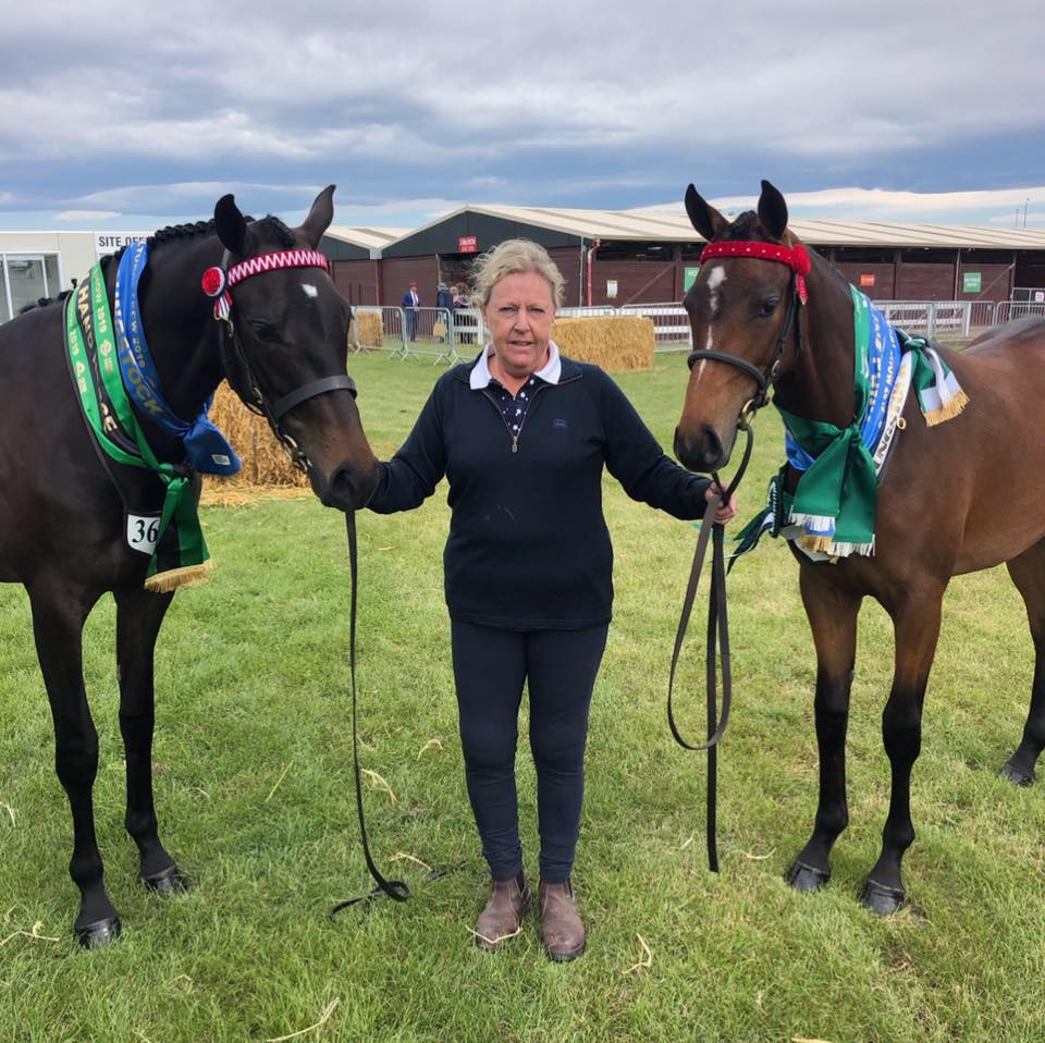Otago Show Jumping Group | Class 11: South Island Junior Amateur Series ...