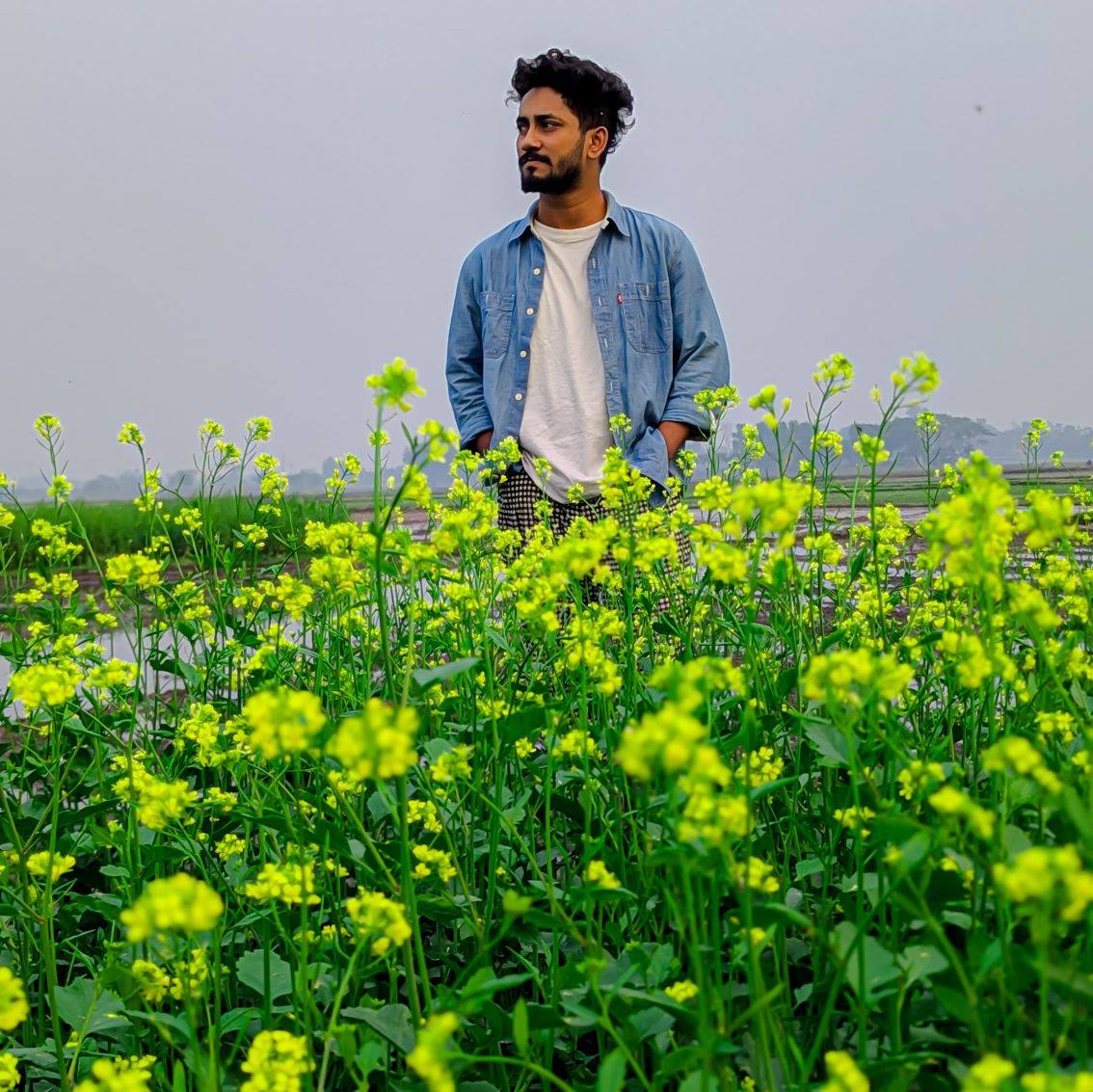 Mehedi Hasan Rony