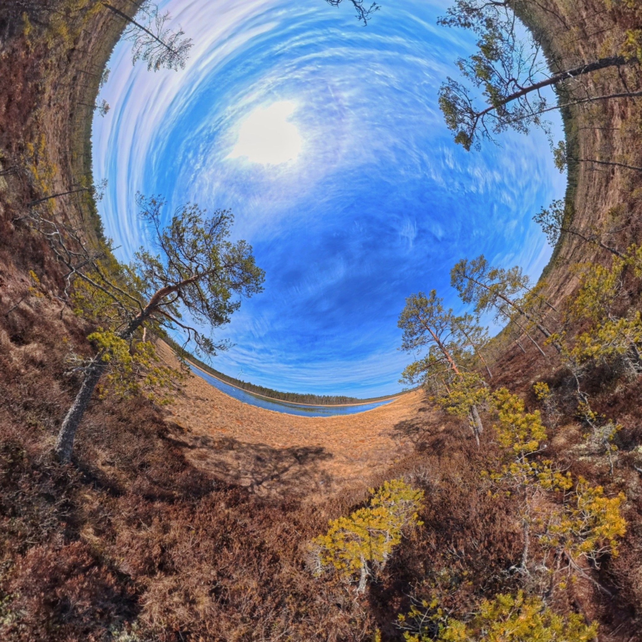 Insta 360 X6 | I used to think camera cages were just a gimmick | Facebook