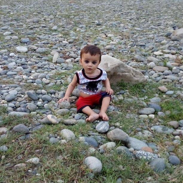 ویسٹ انڈیز نے بغیر تیل لگائے اندر کر دیا 250 چیز بھی کیا 20 چھکے بھی ...