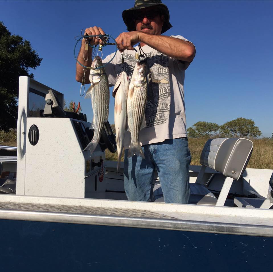 Steve Wilhelm on Reels