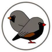 www.finches.nl Probably it will not work like I imagine but I need to ...