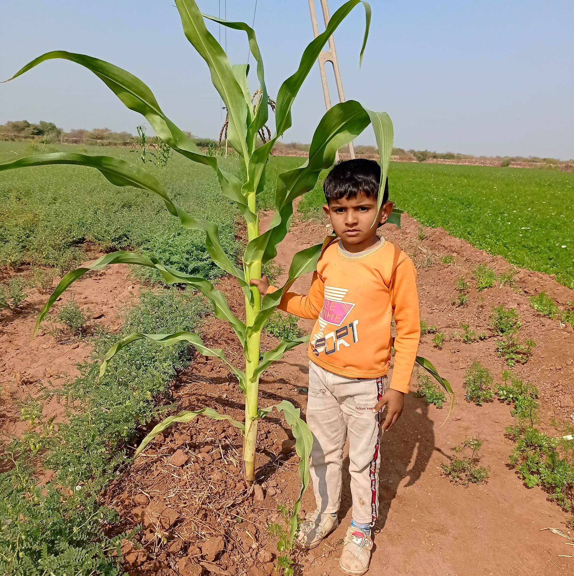 Rashik Patel