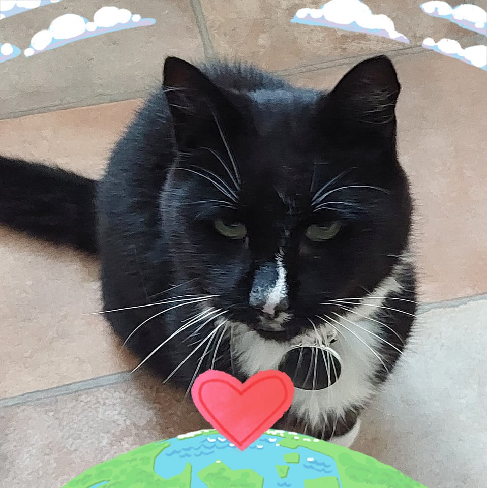 Pets - I came home without warning and found my twelve-year-old ...
