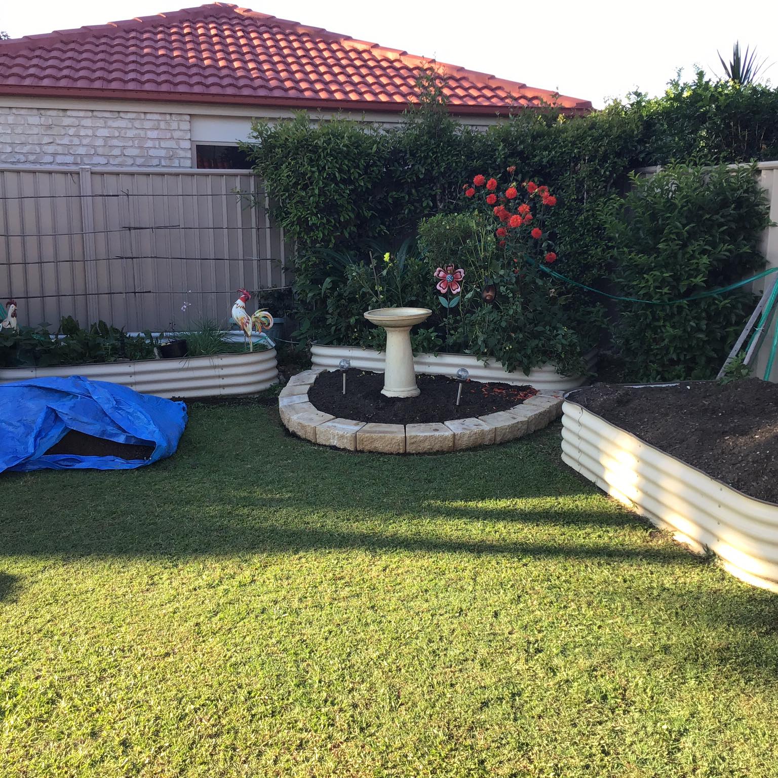 Lost Wollongong | Lost in Helensburgh who am I, a big tall rangy second ...