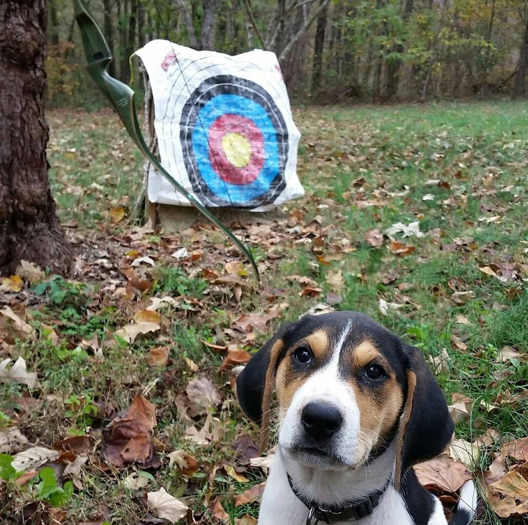 Missouri Traditional Bowhunters 2.0 | With the overnight low tonight at ...
