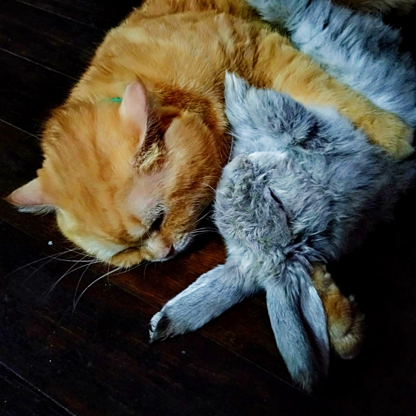 อู้ฟู่ บุฟเฟ่ต์ พรีเมี่ยม สาขาศรีราชา | Si Racha