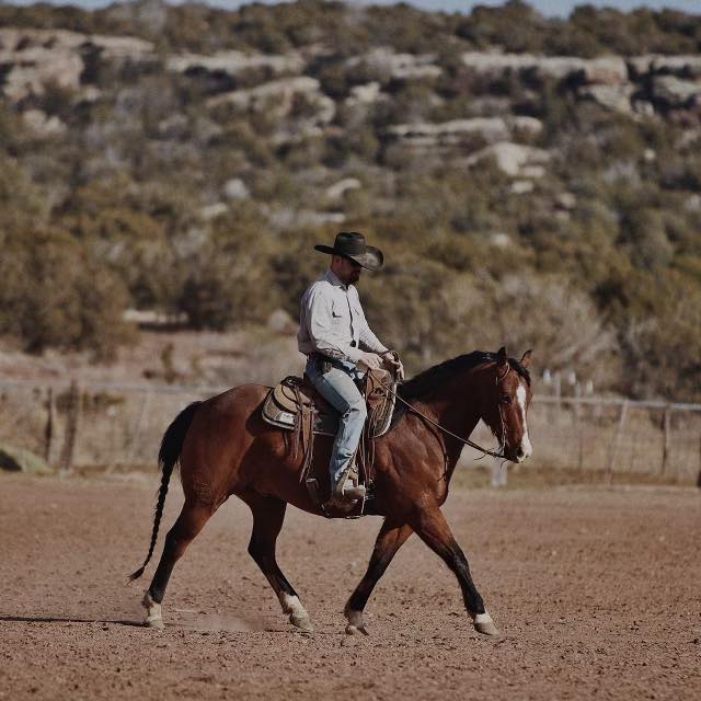Singleton - Grant Mitchell and SJR Diamond Motion are the RESERVE ...