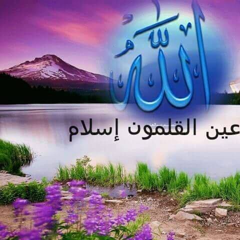 صفحة - تفسير القرأن الكريم ابن كثير رحمه الله. تفسير سورة الأعراف الاية ...