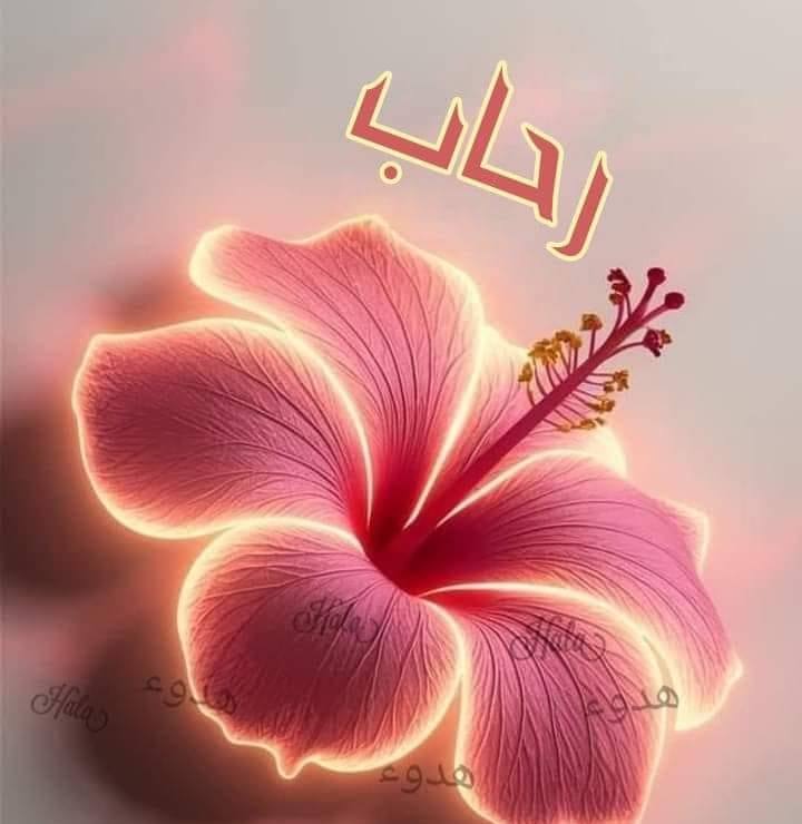 كلية الأداب جامعة حلوان | ممكن اعرف اقسام الكريديت ايه والمصاريف لكل ...