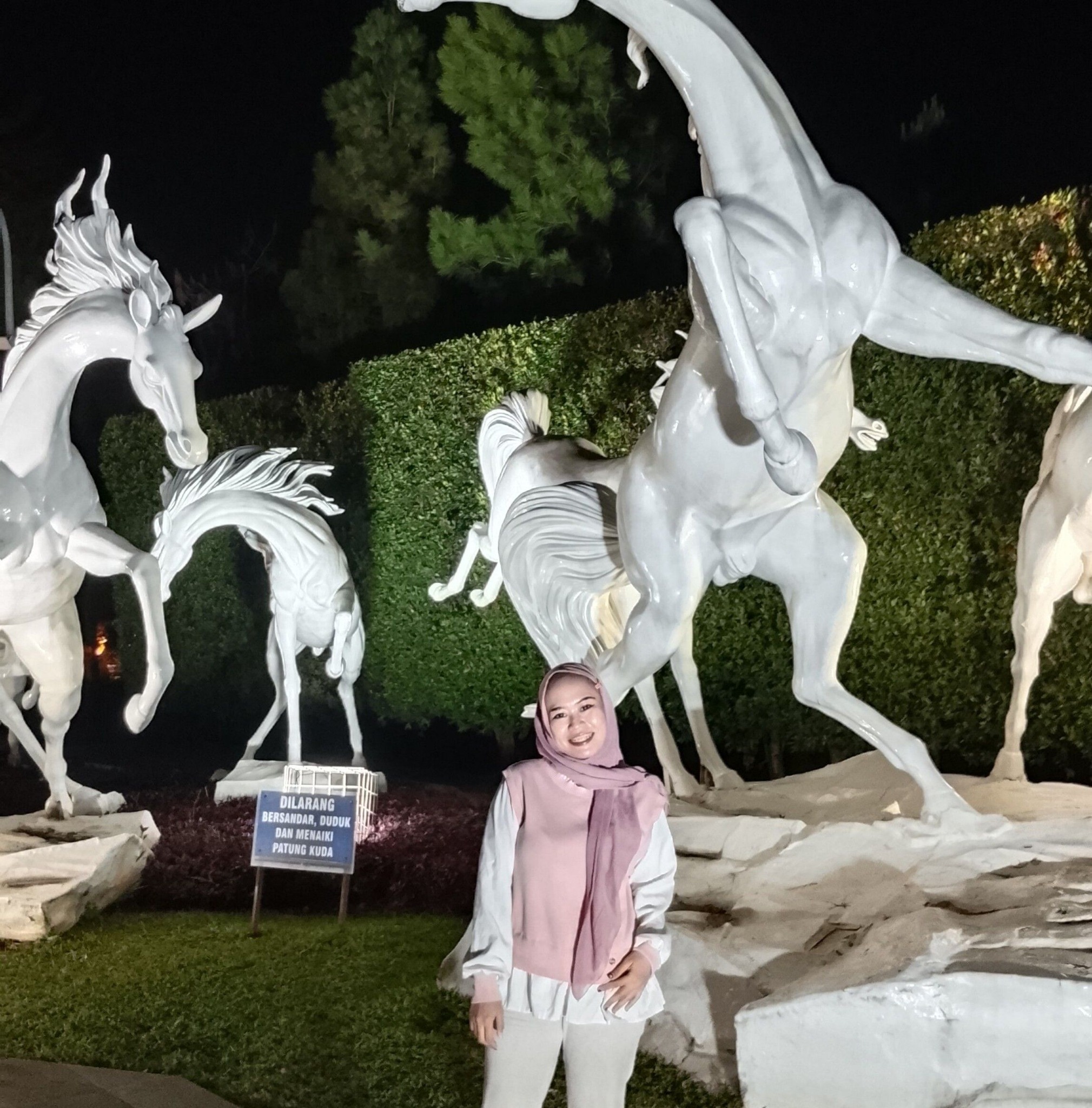 Anis Risma Ristiana