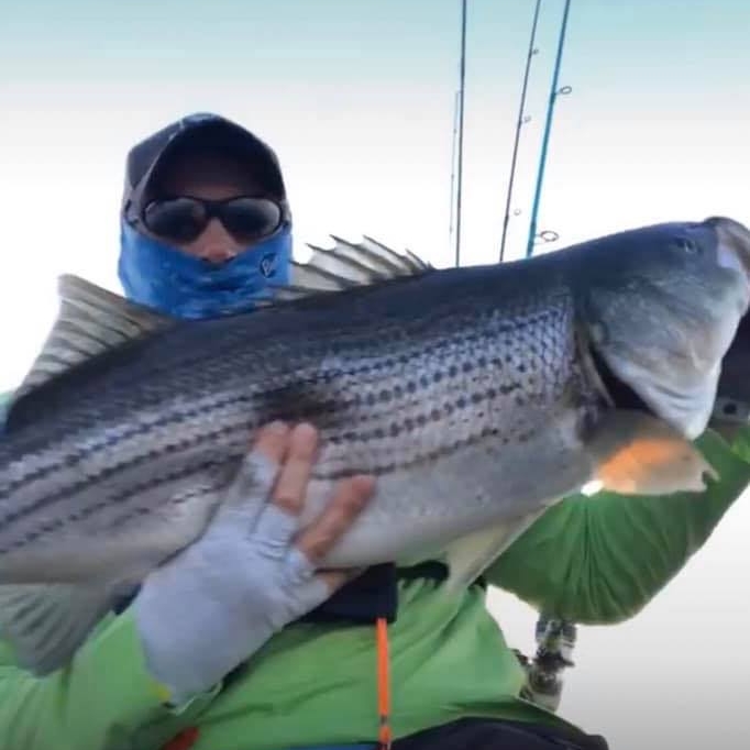 Little fella! Catch and release! 🎣🐟 | David Richard