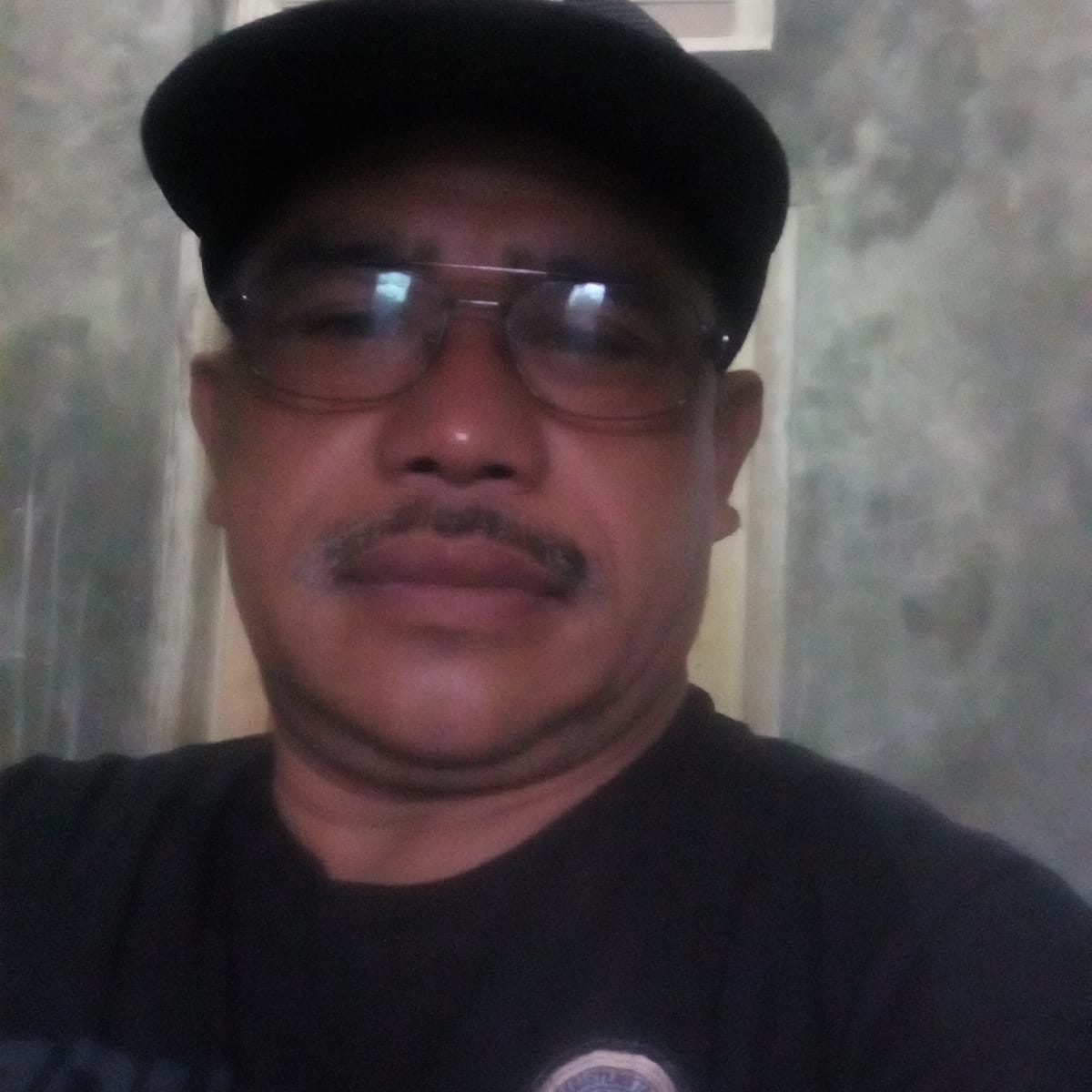 Cara memperbanyak bibit jambu air dengan cara stek batang atau stek ...