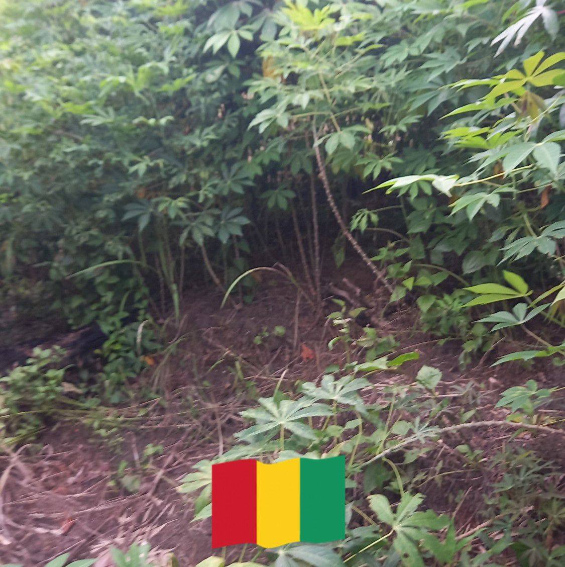 mon-goumin-actuel-vient-d-une-relation-toxique-mariame-doukour