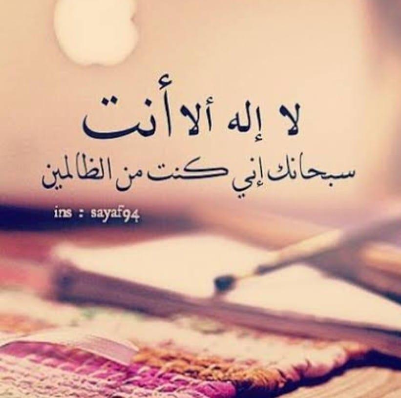 عروض سجاد سمالوط | Samalut