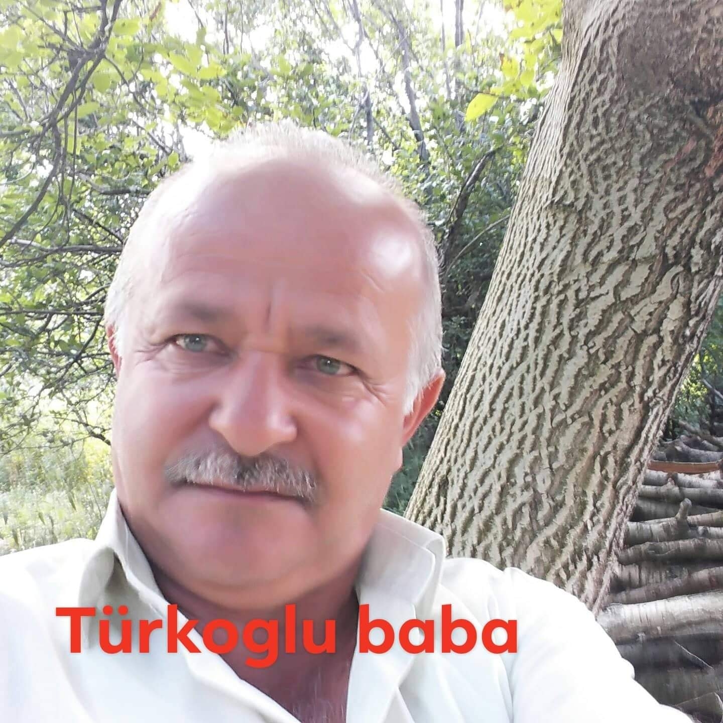 1996 MODEL 190P ORJİNAL KESME DEĞİLDİR ŞASELERİ İŞLEMSİZ BİRİNCİ SINIF ...