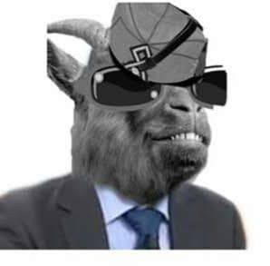 Zanga Rudd