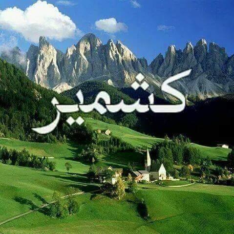 क्या नमाज़ में सूरे मुल्क पढ़ सकते हैं 🤔🤨🤔 | Islam Quiz