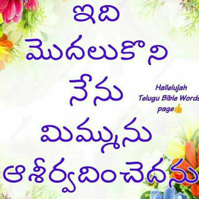 Dr. Y. Srinivasa Rao, Judge on Reels