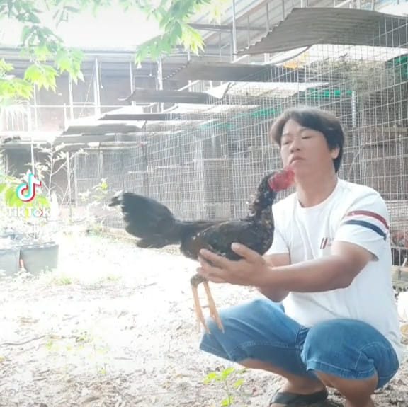 Đang ủ mưu Peru bóng đêm . Sức thu thút của màu đen | Linh Duy