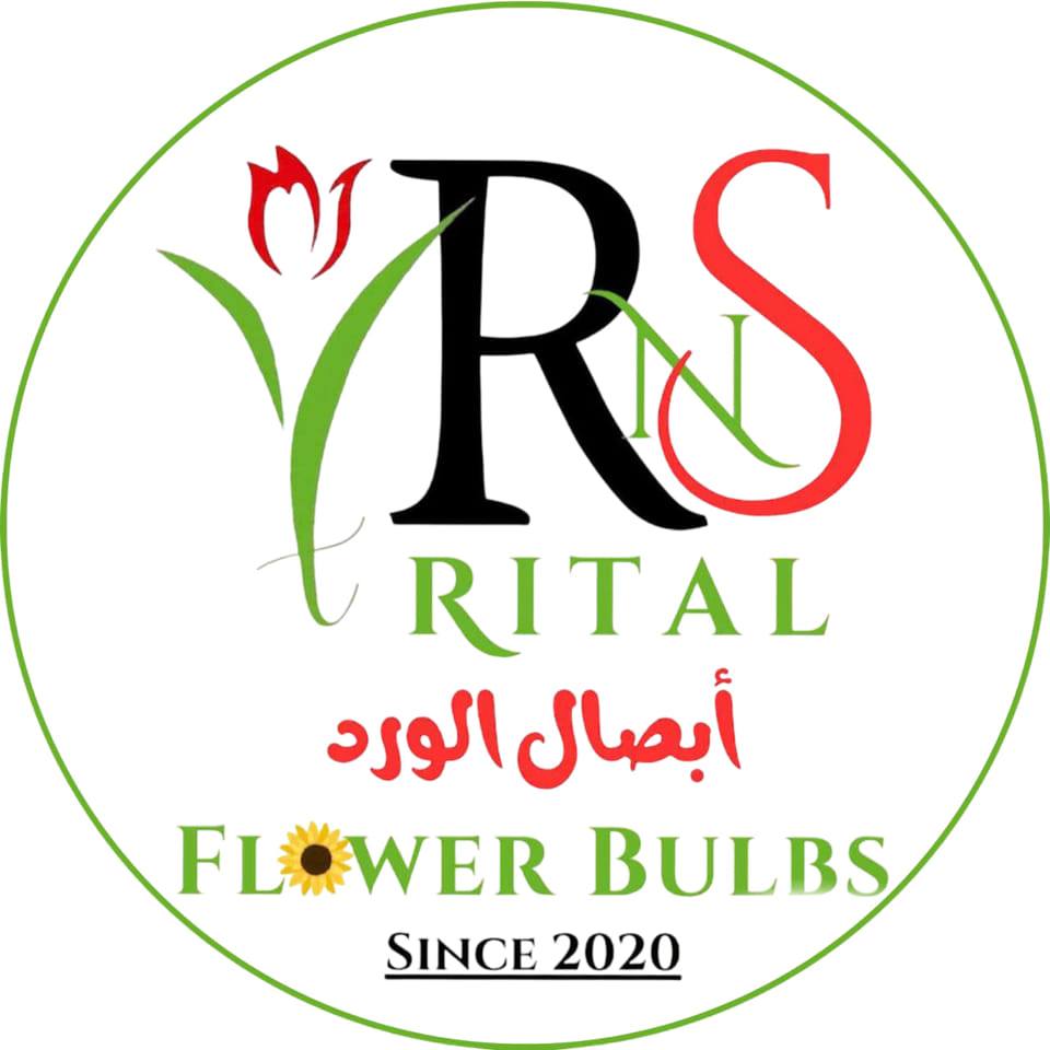 Rital Rsn