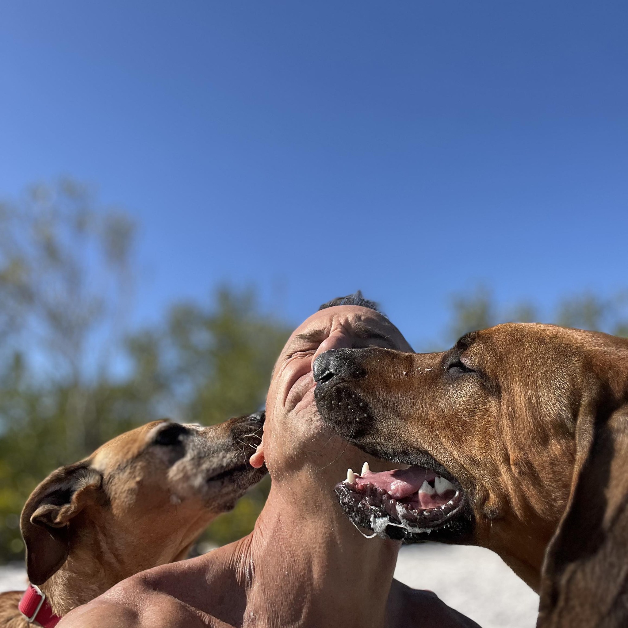 Why is public access important when it comes to rehab? Because if you ...