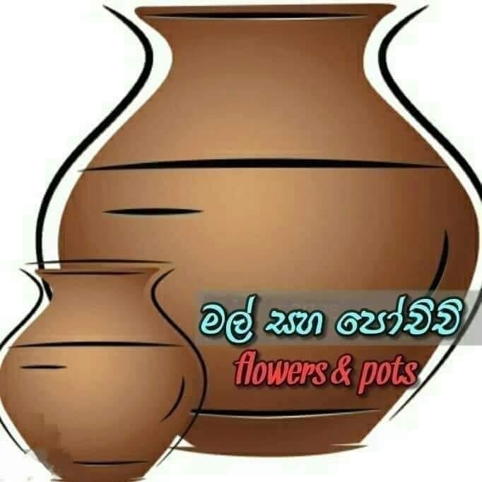 Dharmapriya H Bandara
