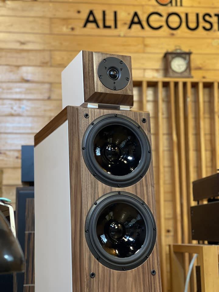 What Ali Acoustics Loudspeaker?