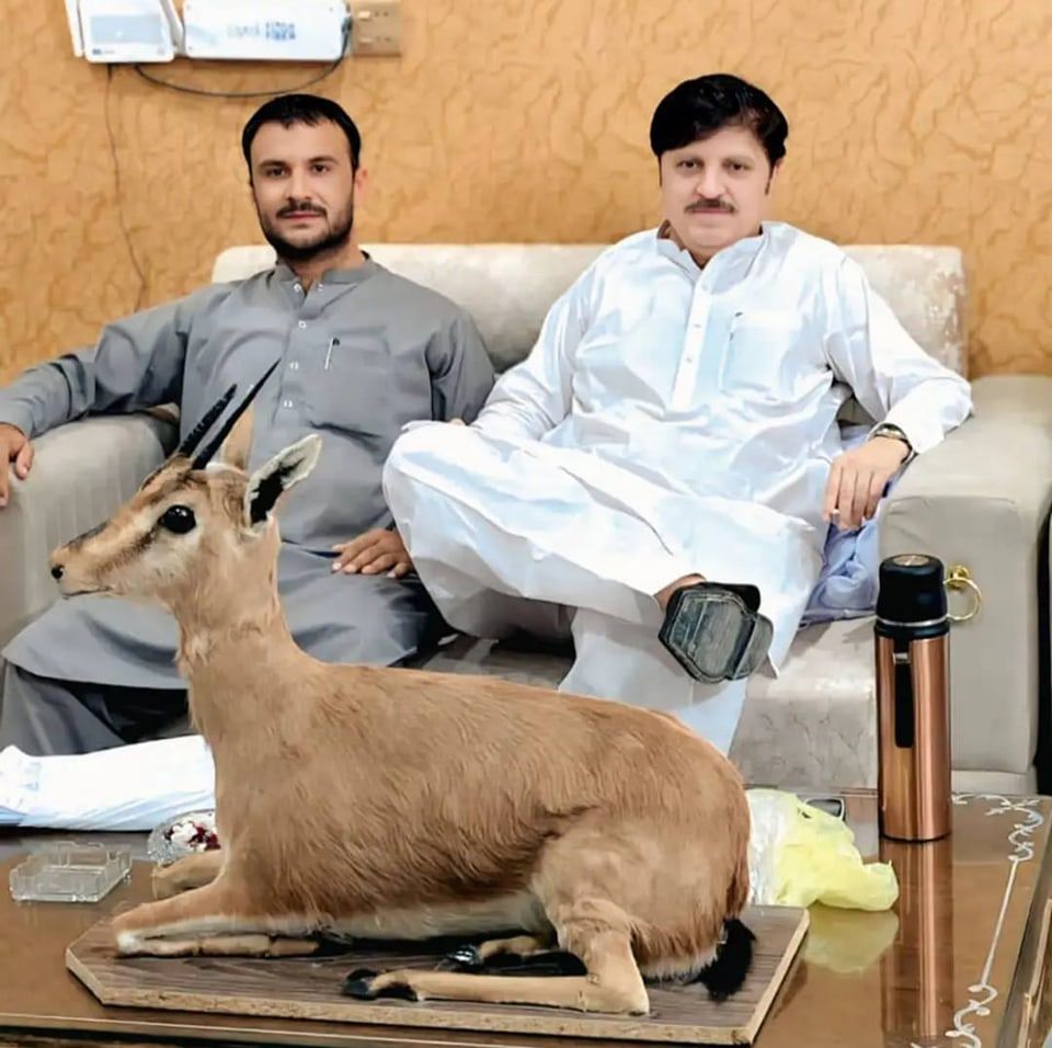Younis Amaan Bettani