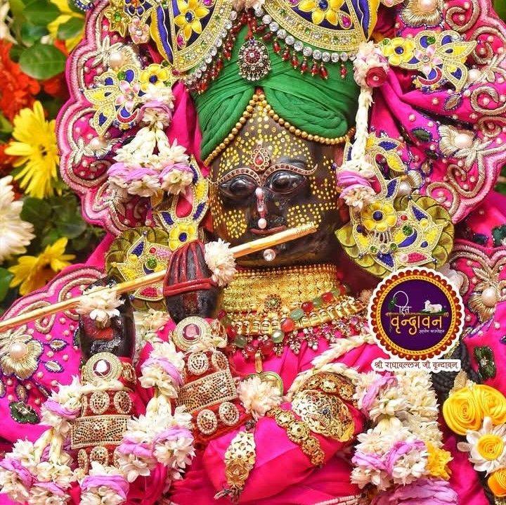 🙏आज के प्रवचन गुरु देव भगवान🥺 | Raja Baghel