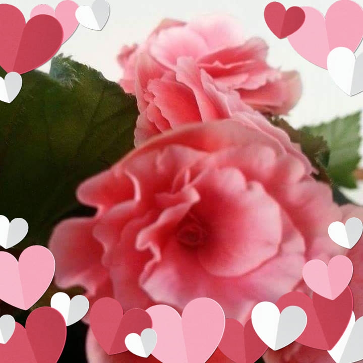 💔 Myślał, że jego narzeczona nie czekała na niego, aż wróci z wojska ...
