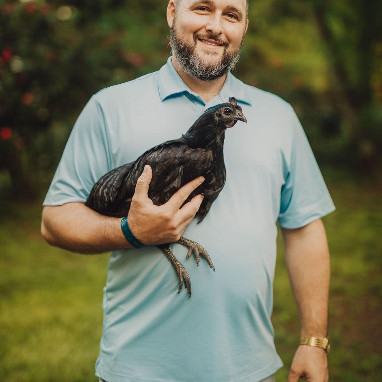 Louisiana Chickens and More | Why does some of my chickens have white ...