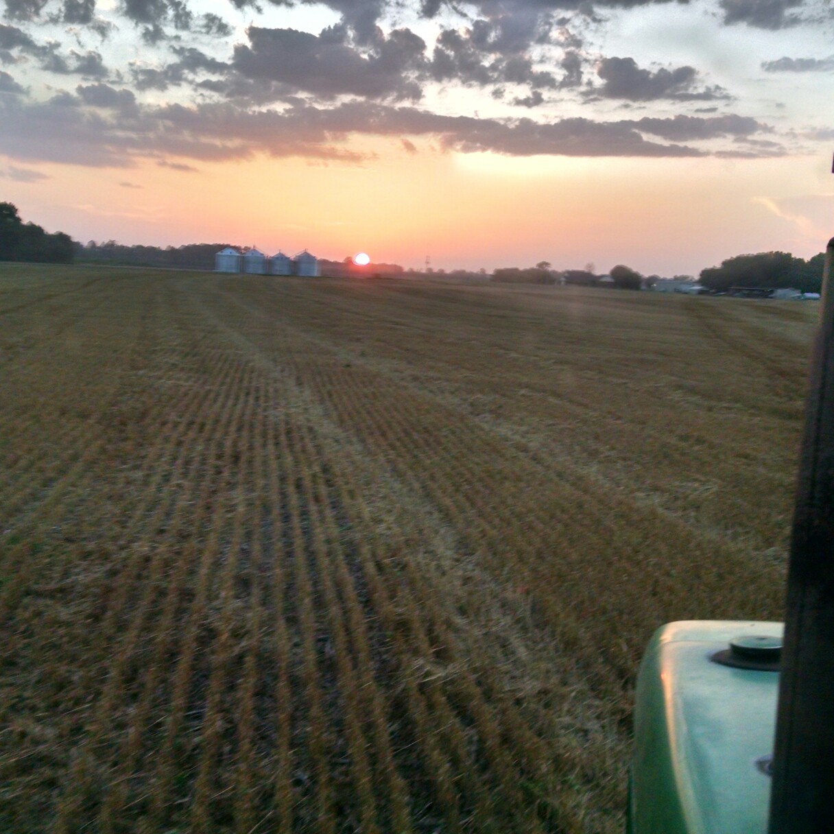 Warm season and cool season cover crop mix. With fuel being so high we ...