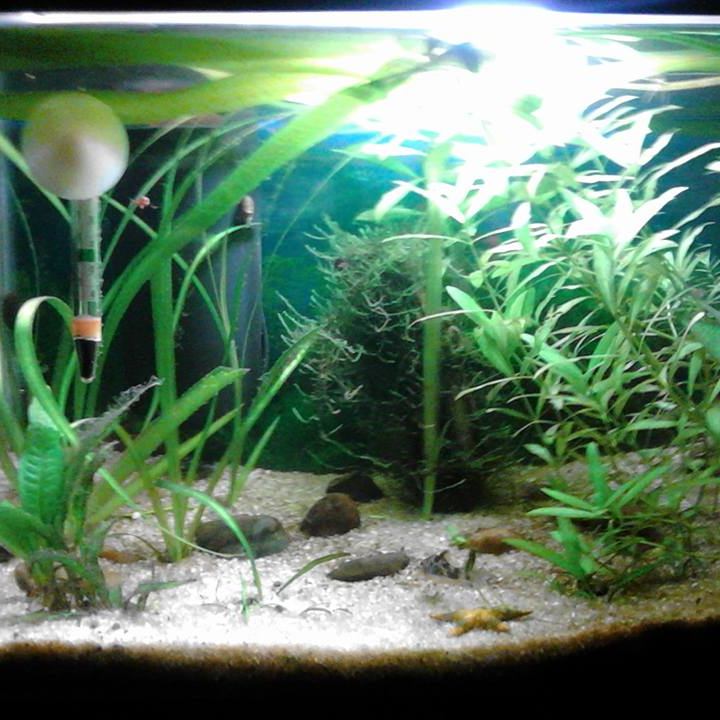 Aqua Tropicus Tegucigalpa