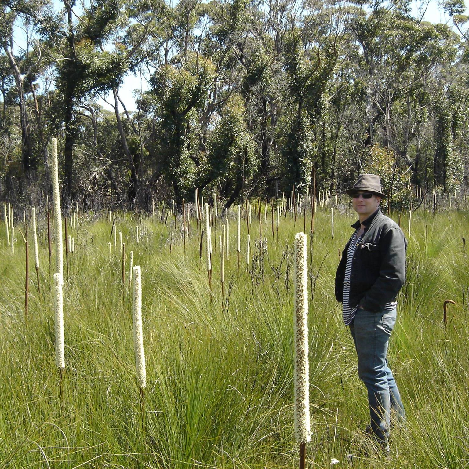 Hobby Farmers Australia | Best herbicide for killing blackberries ...