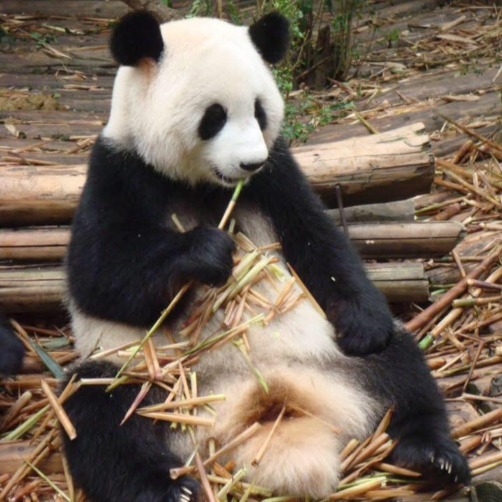 高雄鳳山在地人就是我 | (已報案處理) | Facebook