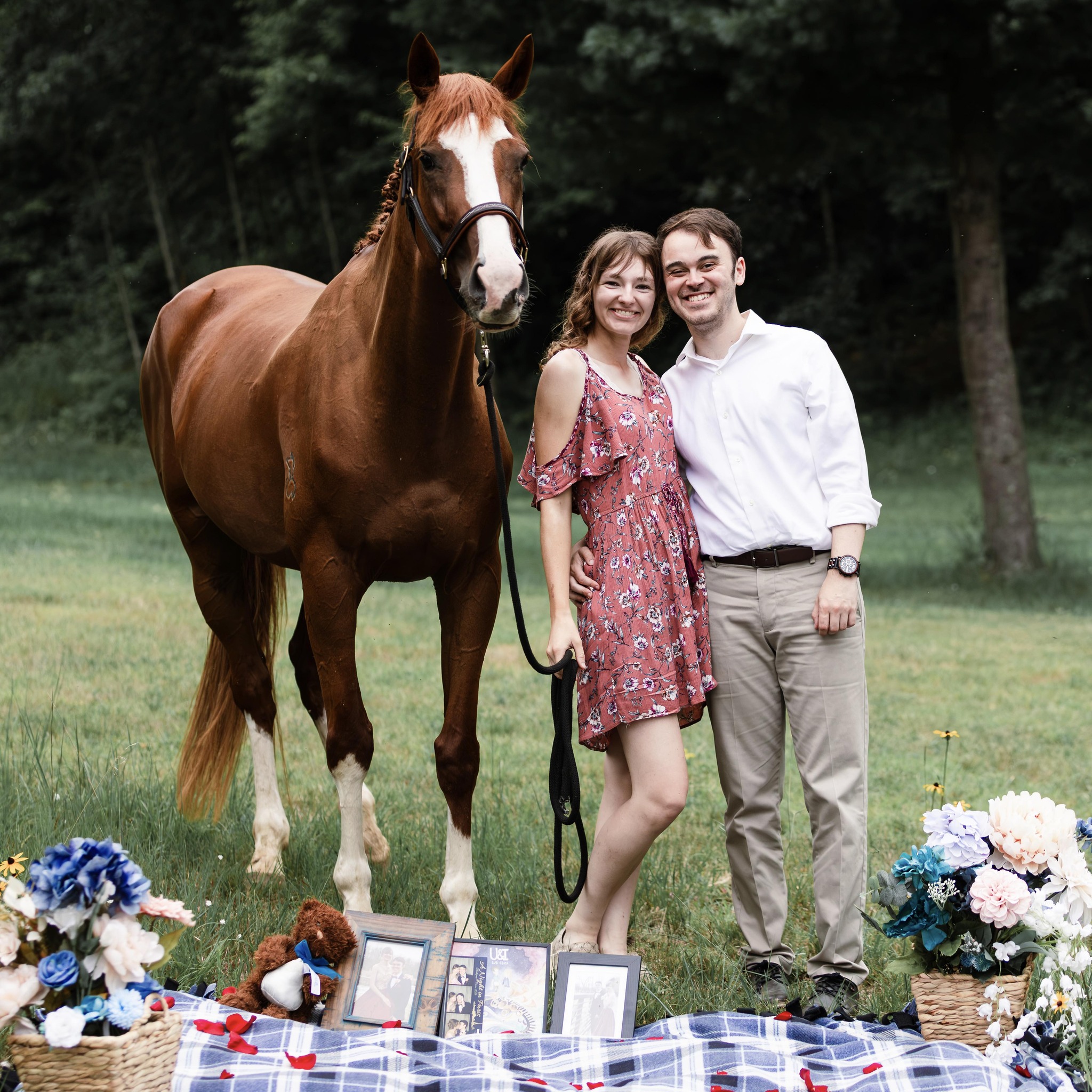 MIPS Protection System Equestrian Helmets | Update: I think I’m going ...