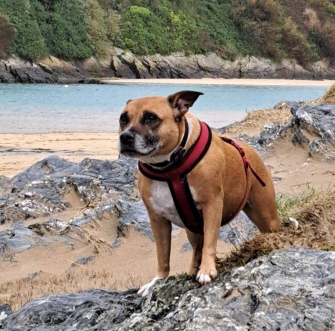 Newest Newquay | Good evening all, I would just like to say how much of ...